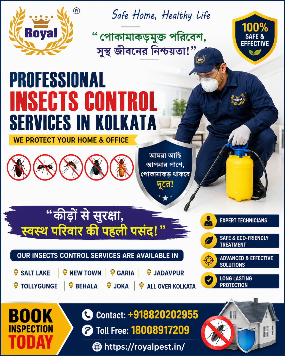 Insects control service